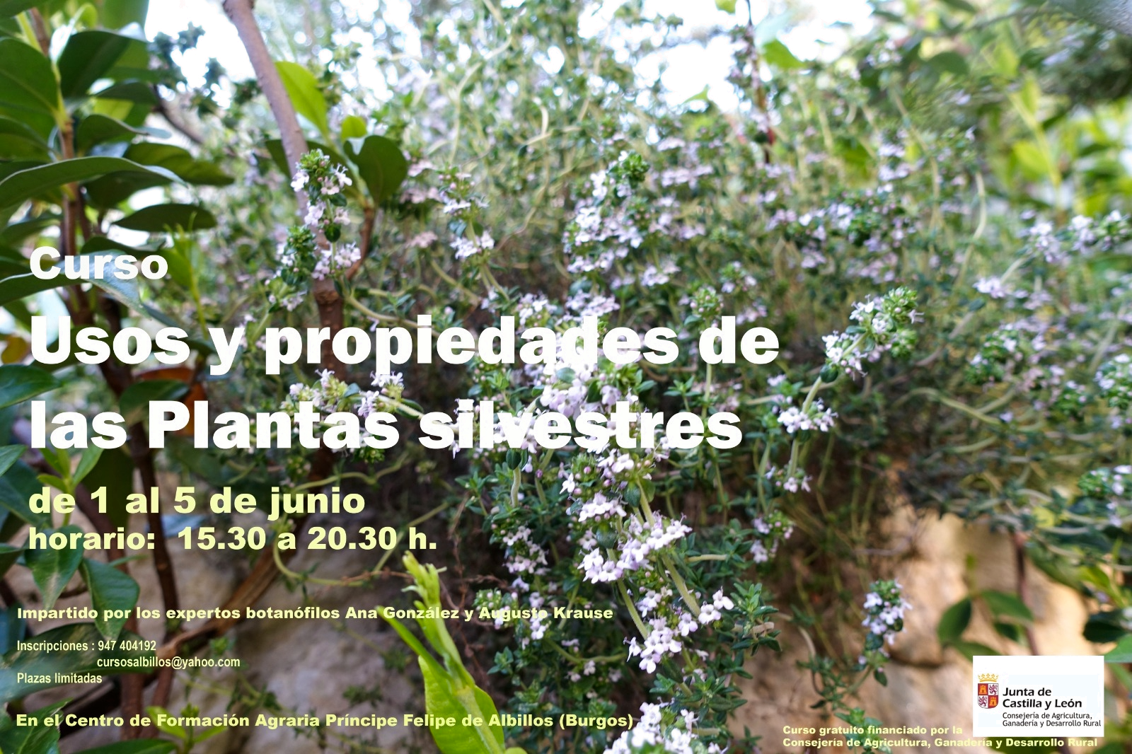 PLANTAS 2026